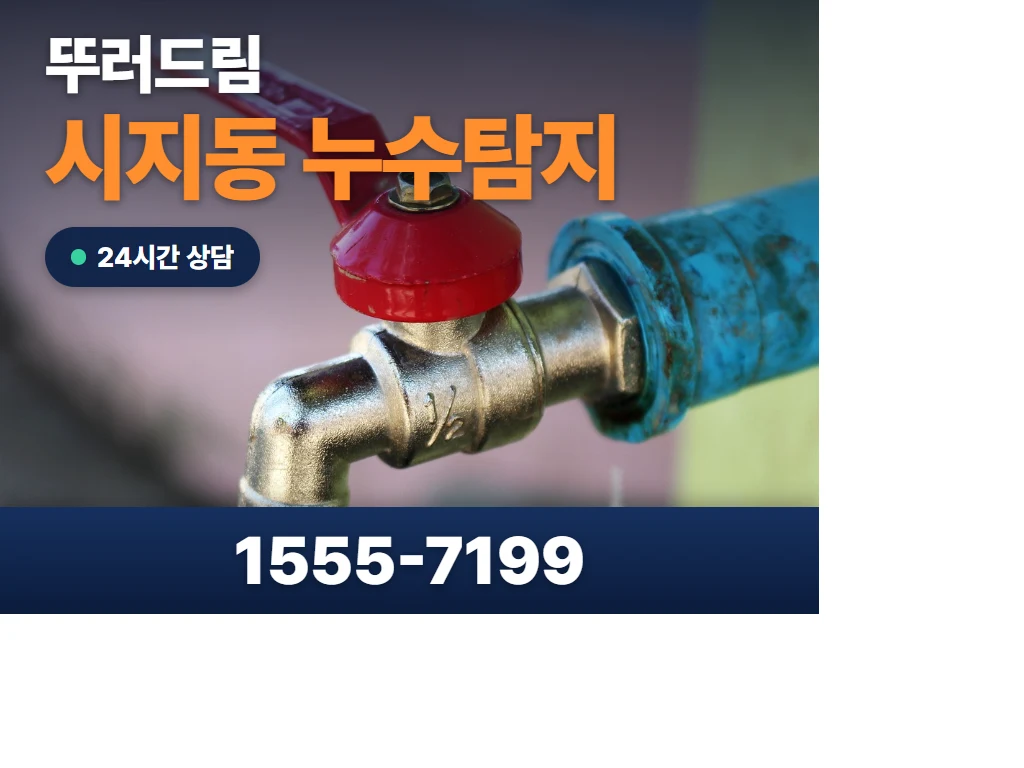 시지동 누수탐지 현장